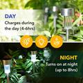 10-pack ruostumattomasta teräksestä valmistetut aurinko-LED-polkujen valaisimet - viileä valkoinen