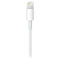 Apple Lightning / USB 3.1 C-Tyyppi Kaapeli MK0X2ZM/A - 2m