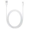 Apple MD819ZM/A Lightning / USB Cable - iPhone, iPad, iPod - White