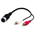 Goobay 5 Pin DIN /2x RCA Kaapeli Adapteri - 0.2m