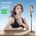 P15-C 2-in-1 magneettinen Selfie Stick ja jalusta RGB-valolla