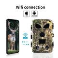PR8000 8K WiFi Trail kamera metsästykseen yökuvauksella varustettuna