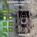 PR801LTE IP66 vedenpitävä langaton villieläinkamera 4G 60MP 8K metsästyspolkukamera