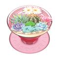 PopSockets Disney laajennettava jalusta ja kahva - Bulbasaur Terrarium