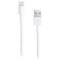 Saii Lightning / USB-kaapeli - iPhone X/XR/XS max/6/6S/iPad Pro - Valkoinen