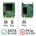 Transcend TS-CM42S M.2 SSD Muunnossarja - Valkoinen