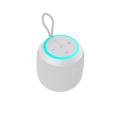 Tronsmart T7 Mini Kannettava Vedenpitävä Bluetooth Kaiutin - Harmaa
