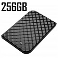Verbatim Store n Go USB 3.2 Kannettava SSD