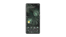 Google Pixel 6 Pro Kuoret & Tarvikkeet