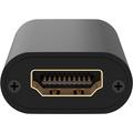 Goobay HDMI 1.4 Toistin - Black