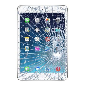 iPad mini 2 Näytön Lasin ja Kosketusnäytön Korjaus