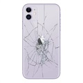iPhone 11:n Takakannen Korjaus - Vain lasi - Violetti