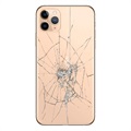 iPhone 11 Pro Max:n Takakannen Korjaus - Vain lasi - Kulta
