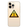 iPhone 13 Pro Takakannen Korjaus - sis. kehys - Kulta
