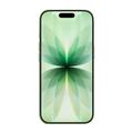 iPhone 17 - 512Gt - Salvia