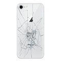 iPhone 8:n Takakannen Korjaus - Vain lasi - Valkoinen