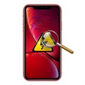 iPhone XR Arviointi